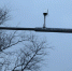 Рисунок: /upload/main/видеокамера.jpg - NewsNN.Ru