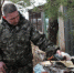 Больше глухарей, тетеревов и рябчиков появилось в лесах Нижегородской области - Время Н