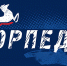 Изменения в составе - ХК Торпедо