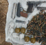 Схрон оружия и боеприпасов обнаружен в лесном массиве в Удмуртии - НТА-Приволжье