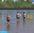 56 человек, в том числе 5 детей утонули в водоемах Нижегородской области с начала июня - ГТРК Нижний Новгород