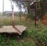 Главы четырёх сёл в Самарской области подозреваются в приёмке несуществующего водопровода - НТА-Приволжье
