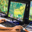 16263552158 d3c593b18e o - NewsNN.Ru