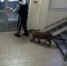 Vlcsnap 2017 11 14 17h01m57s116 - NewsNN.Ru