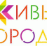 В Москве состоялся IV Всероссийский Форум Живых городов  «Живые Лидеры России: через тернии к звёздам» - Городская Дума