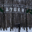 %d0%b4%d1%83%d0%b1%d0%ba%d0%b8 - NewsNN.Ru