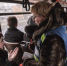 Kantraliory - NewsNN.Ru