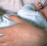 1a1f586f553e6b125f9adc1f42bcb0ed - NewsNN.Ru