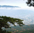 1101814223 - NewsNN.Ru