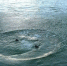 Inx960x640 - NewsNN.Ru