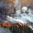 Forest 1161868 960 720 - NewsNN.Ru