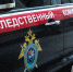 Уголовное дело возбудили в отношении похитителя семилетней девочки в Нижнем Новгороде - НИА Нижний Новгород
