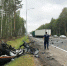 Водитель «Лады» погиб при столкновении с деревом в Семеновском районе - vGorodeN.Ru