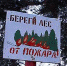В период с 4 по 7 сентября 2018 г. сохранится чрезвычайная (5 класс) и высокая (4 класс) пожароопасность лесов и торфяников Нижегородской области - Департамент лесного хозяйства