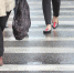 Crosswalk 2404427 960 720 - NewsNN.Ru