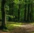 1504605947158114655 - NewsNN.Ru