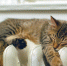 1390501317 2064104672 - NewsNN.Ru