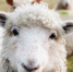 Ireland 1985088 960 720 - NewsNN.Ru