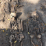 Студенты ННГУ расскажут нижегородцам об археологических находках этого года - НИА Нижний Новгород