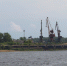 Житель Богородска заплатит 3,5 млн рублей за вред природе - vGorodeN.Ru
