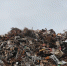 Disposal 1846033 960 720 - NewsNN.Ru
