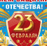 С Днём Защитника Отечества!!! - ХК Скиф