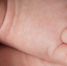 %d0%bc%d0%bb%d0%b0%d0%b4%d0%b5%d0%bd%d0%b5%d1%86+pixnio - NewsNN.Ru