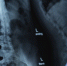 Anatomy 3003099 960 720 - NewsNN.Ru