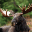 Rainshower 386741 960 720 - NewsNN.Ru