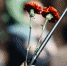 Ehehhzu3irg - NewsNN.Ru