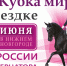 С 6 по 9 июня 2019 года в Нижнем Новгороде состоится международный турнир по выездке CDI-W Этап Кубка мира - Министерство спорта