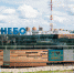 Посетители ТРК «НЕБО» вступили в «Прямой диалог» с Гринпис - NewsNN.Ru