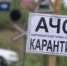 Карантин по африканской чуме свиней сняли в Вадском районе - Гипорт.ру