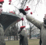 Нижегородцы отметили День моряка-подводника - Время Н