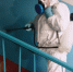 Дезинфицирующие и антисептические средства на сумму более 1 млн руб. закуплены для обработки жилых домов Автозаводского района - Администрация г. Нижний Новгород