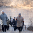 Нижегородцам автоматически продлевают выплаты пенсий и маткапитала - vGorodeN.Ru