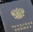 «Портал Работа в России» открыл возможность дистанционного обращения в центры занятости - Единая Россия