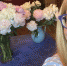 Ирина Пегова возмутилась состоянием газона на Выксунском заводе - NewsNN.Ru