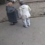 В Нижнем Новгороде поймали мошенницу, которая снимала «порчу» с пенсионеров - NewsNN.Ru