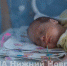 Космос и Багиня родились в Нижегородской области в 2020 году - НИА Нижний Новгород