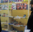 В городецких аптеках дефицита лекарственных препаратов для борьбы с гриппом и ОРВИ не выявлено - Единая Россия