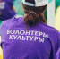 Нижегородские волонтеры культуры обучатся созданию дружелюбной инклюзивной среды - Время Н