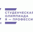 Студентка факультета управления и социально-технических сервисов Булганина Анастасия заняла второе место в финале Всероссийской олимпиады «Я – профессионал» - НГПУ