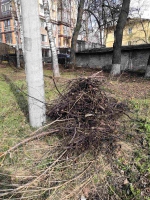Субботник 2021