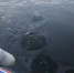 На Оке в Нижнем Новгороде обнаружены нефтяные пятна - Интернет-газета Правда ПФО
