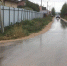 Участки дороги на ул. Васильковой в Новинках заасфальтировали по проекту «Вам решать!» - Единая Россия