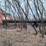 Нижегородские эксперты Народного фронта обратили внимание властей на н... - ОНФ в Нижегородской области