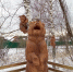 IMG_20211116_140248.jpg - Керженский заповедник