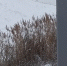 Нижегородцев возмутило качество благоустройства Лопатинского оврага - Открытый Нижний