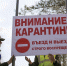 Карантин по бешенству введён в Городецком районе - НИА Нижний Новгород